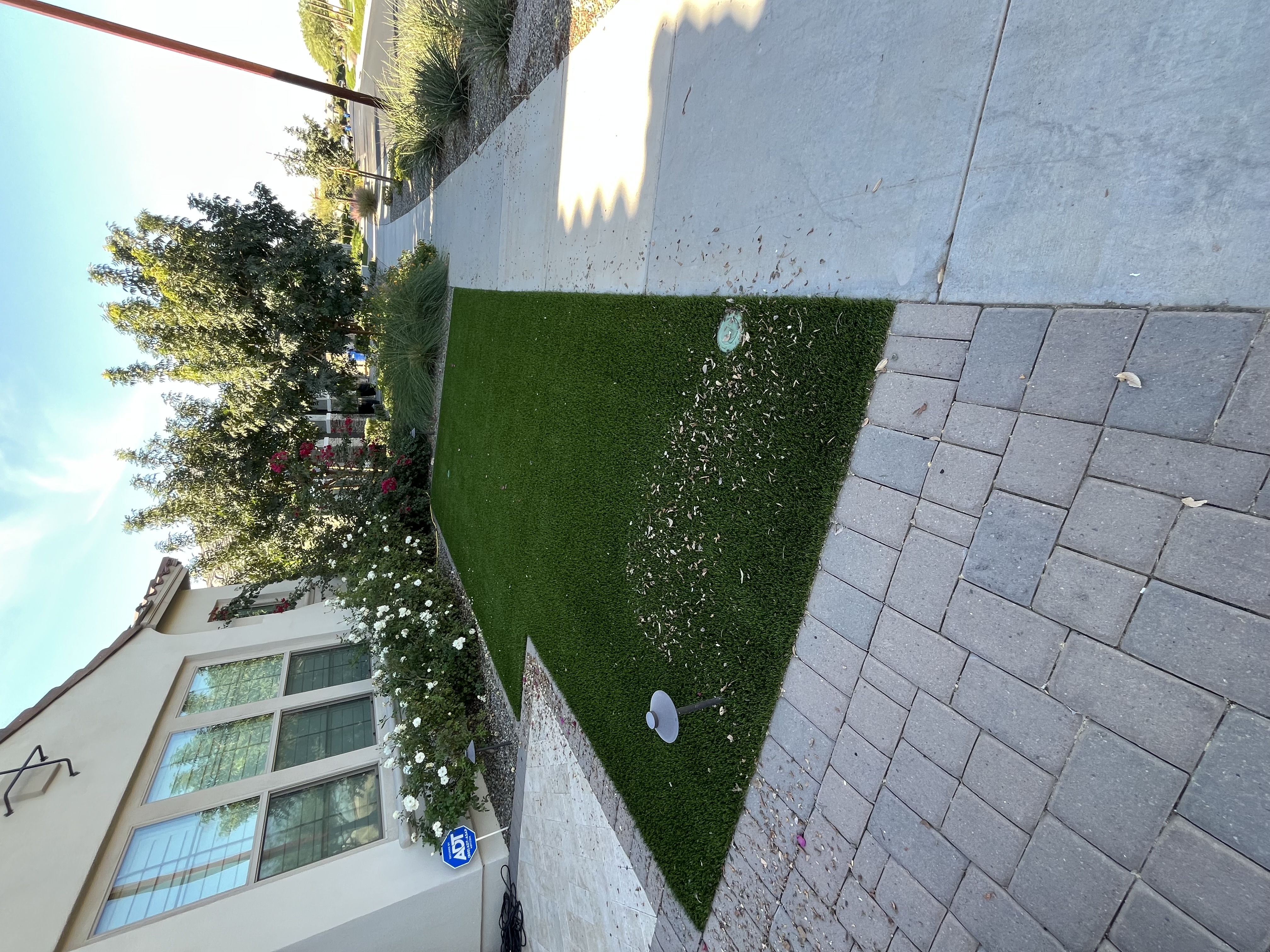 Artificial turf with visible dirt and debris before cleaning